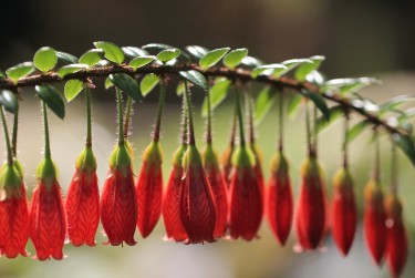 南通海安9零用贷短借：轻松解决临时资金需求