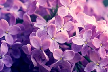 南通海安9企业急用钱贷款攻略：快速融资解燃眉之急